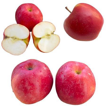 Az almamag olaj jótékony hatása a bőrre