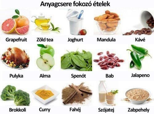 Anyagcsere fokozó ételek
