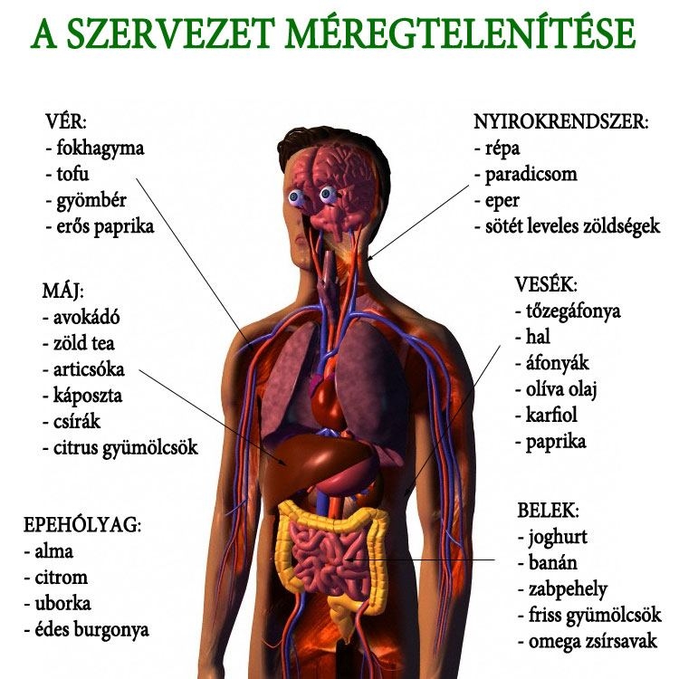 A szervezet méregtelenítése