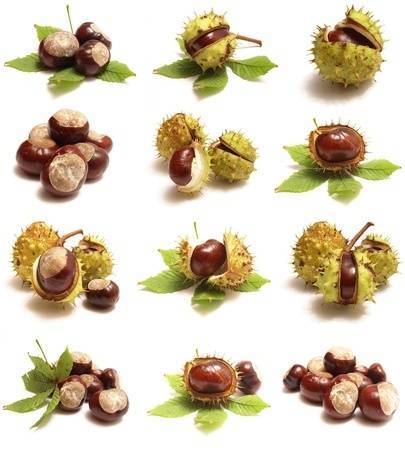 A gesztenye mellékhatása