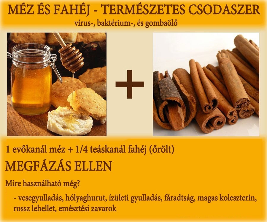 Méz és fahéj - természetes csodaszer