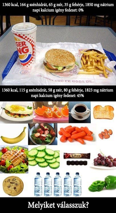 Melyiket válasszam?