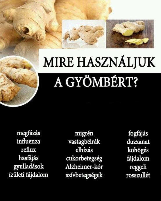 Mire használjuk a gyömbért?