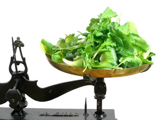 A „halhatatlanság” csodás növényei