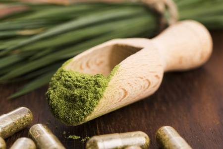 Minden, amit az árpafűről tudni akart