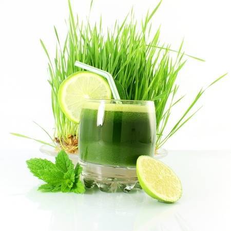 Az árpafű – tápláló ételek, vitaminok és ásványi anyagok