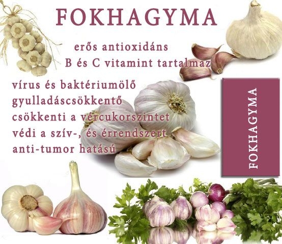 Fokhagyma