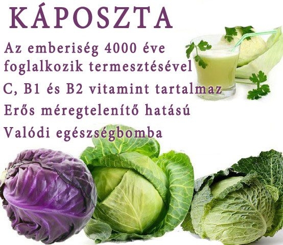 Lúgosító káposzta