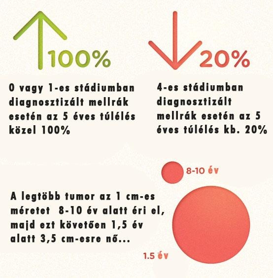 Mellrák: tények és tévhitek