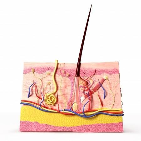 16 otthoni módszer, amelynek segítségével megszabadulhat a nem kívánatos szőröktől