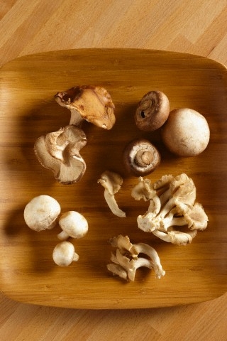 Gyógygombák: misztikus csodaszerek?