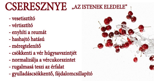 Cseresznyével a köszvény ellen?