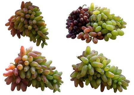 A borkősav 3 jótékony- és 2 mellékhatása