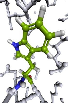 Aminosavak, peptidek, fehérjék
