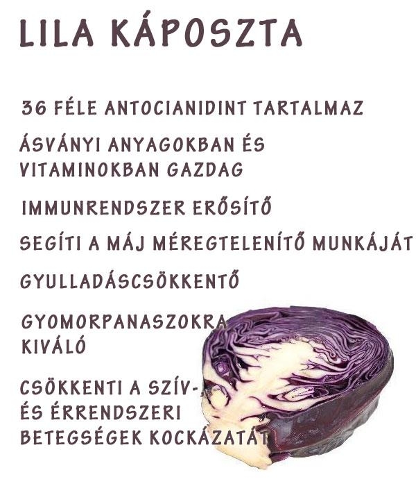Lila káposzta