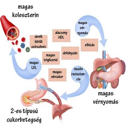 A lezárhatatlan koleszterin ügy