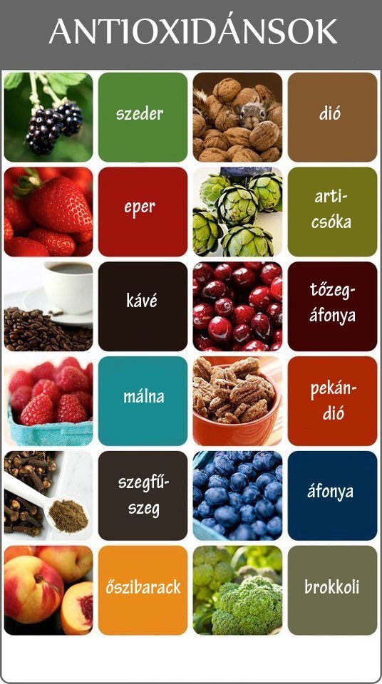 Gyógygombák: a legjobb antioxidánsok?