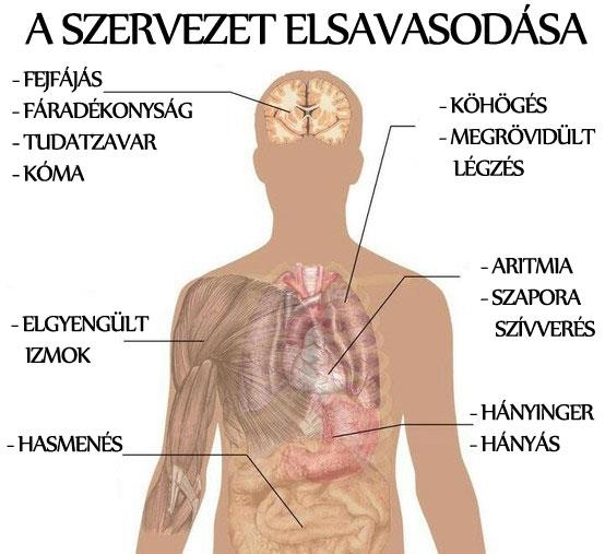 A szervezet elsavasodása