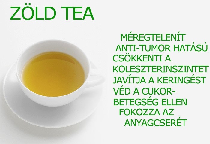 A zöld tea szerepe a fogyókúrában