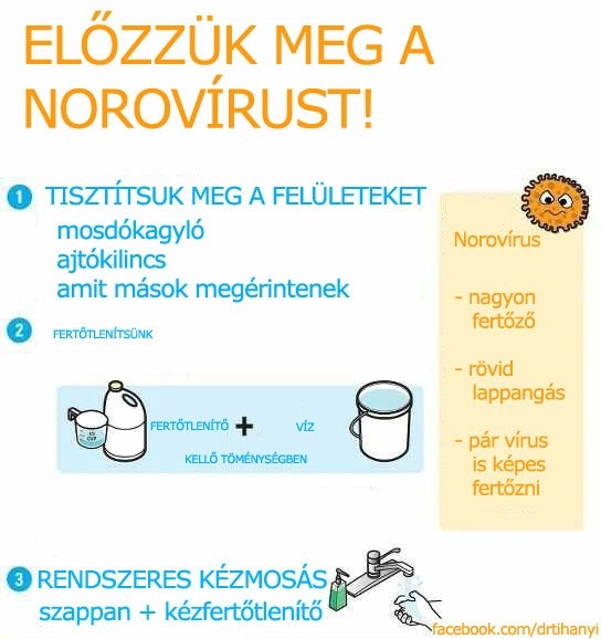 A Norovírus és a tél