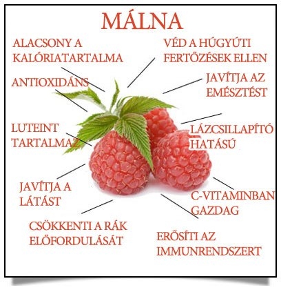 Málna