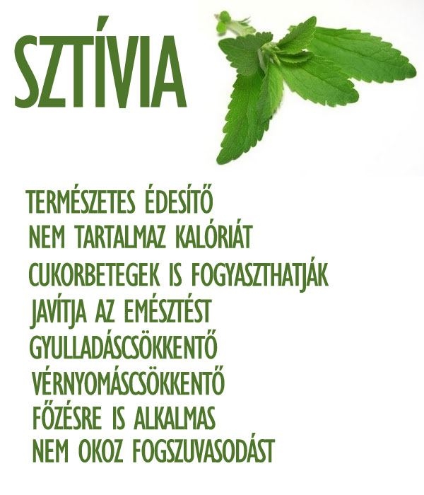 Mi a stevia? (sztívia)