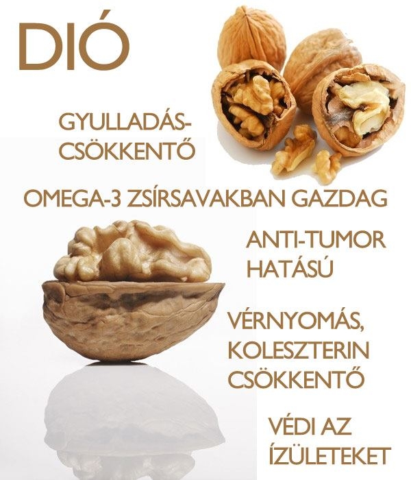 Dió