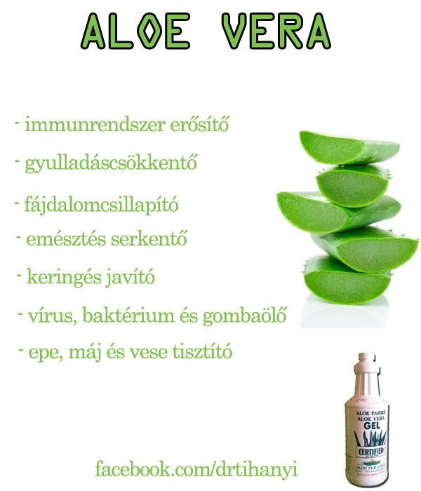 Aloe Vera