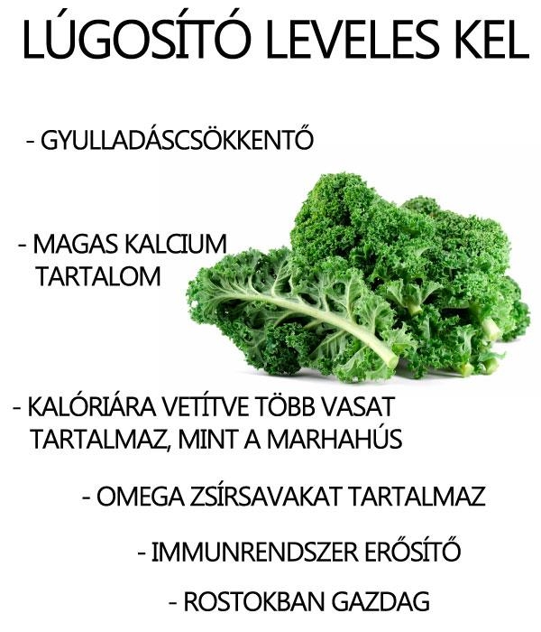 Elektron gazdag, lúgosító leveles kel