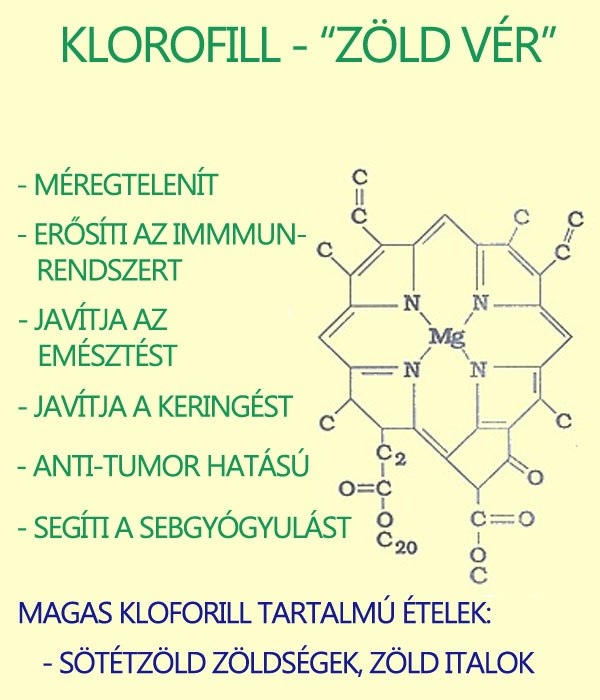 Klorofill, klorofillin, szelén