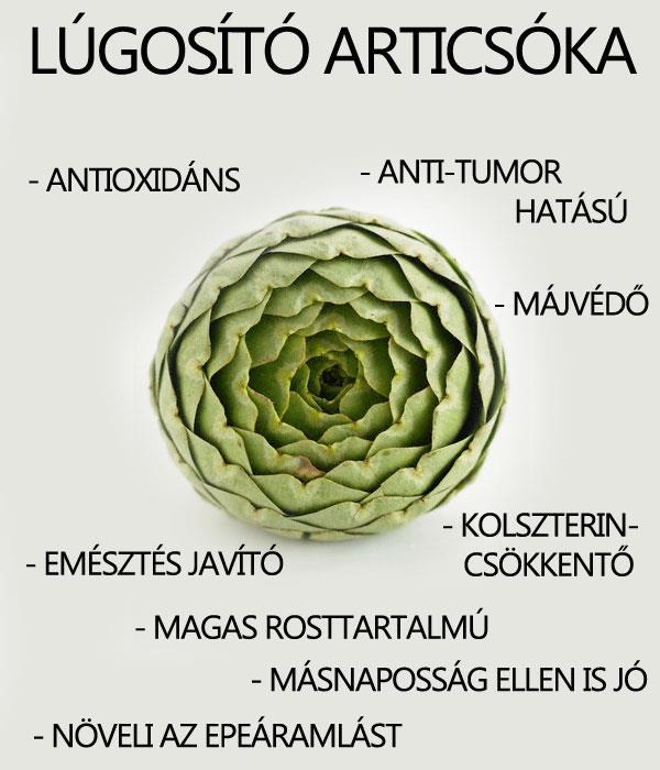 Lúgosító articsóka
