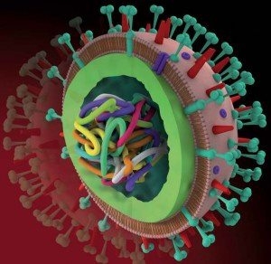 Erős immunrendszer vs. H1N1