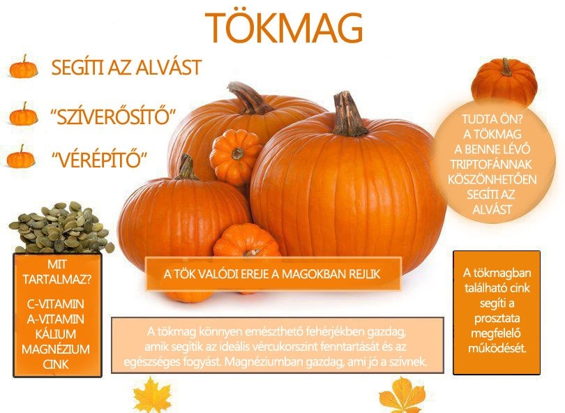 Tökmag