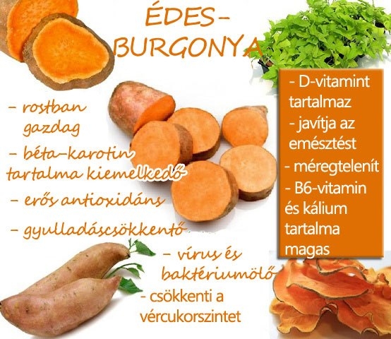 Édesburgonya