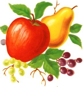 A gyümölcsök hasznáról