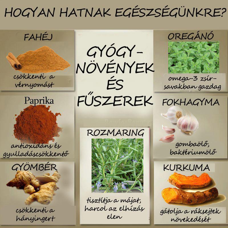 Gyógynövények és fűszerek