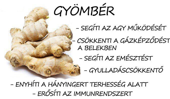 Mire jó a friss gyömbér?