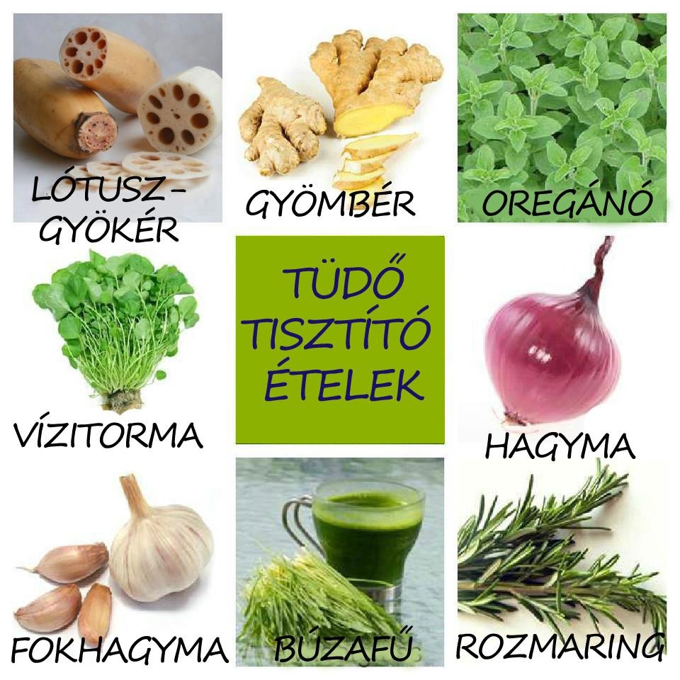 Tüdő tisztító ételek