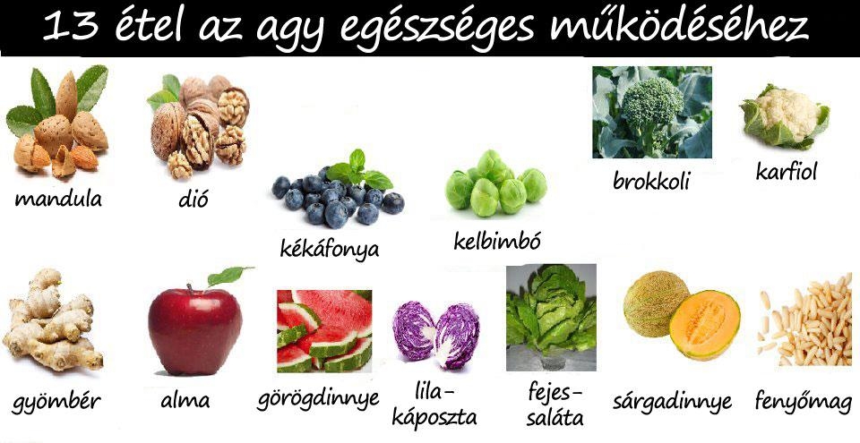 Az agy egészséges működése