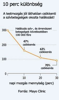 10 perc különbség