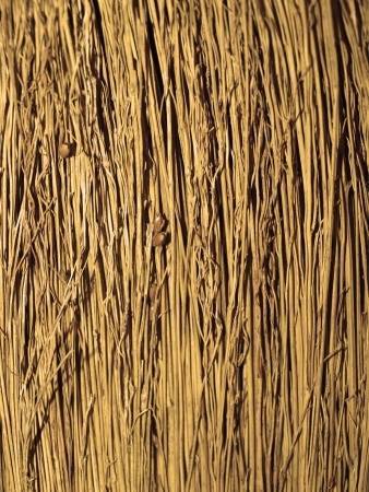 Házi gyógymódok a seprűvénára