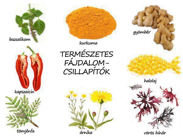 Természetes fájdalomcsillapítók