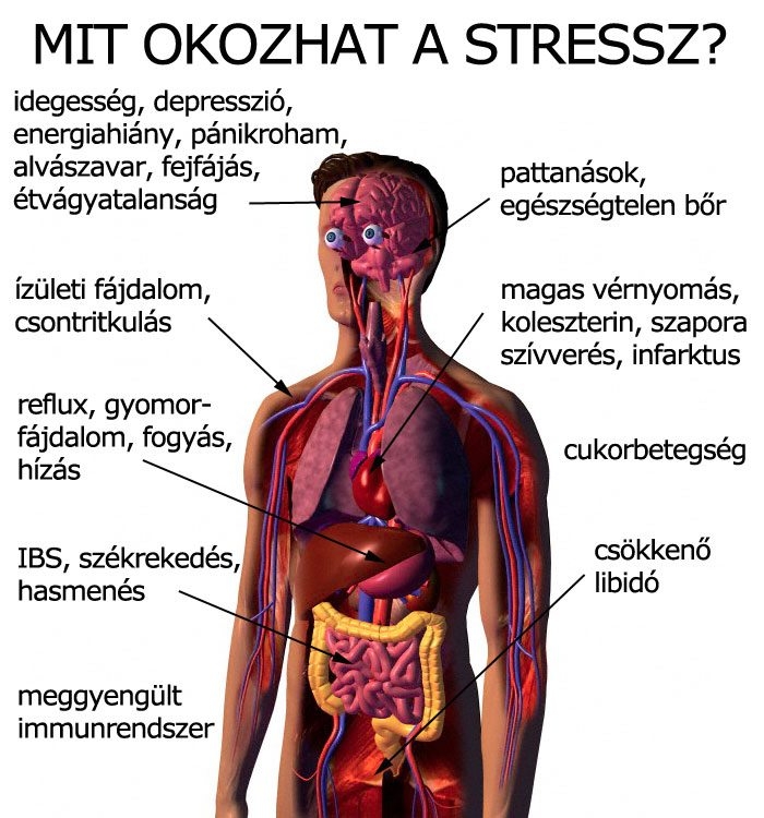Mit okozhat a stressz?
