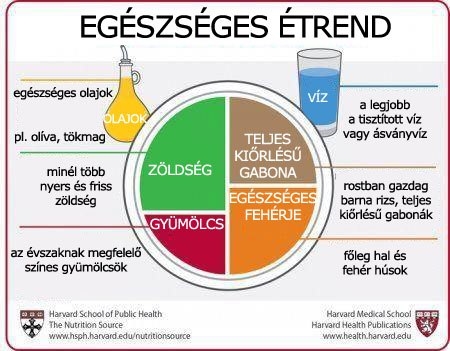Egészséges étrend