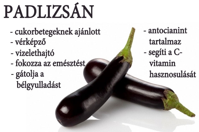 Lúgosító padlizsán