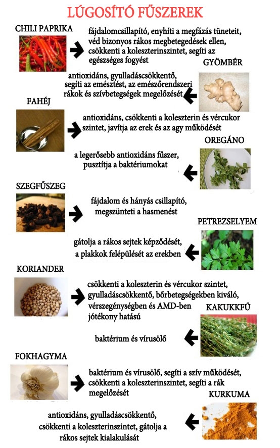 A nélkülözhetetlen fűszerek