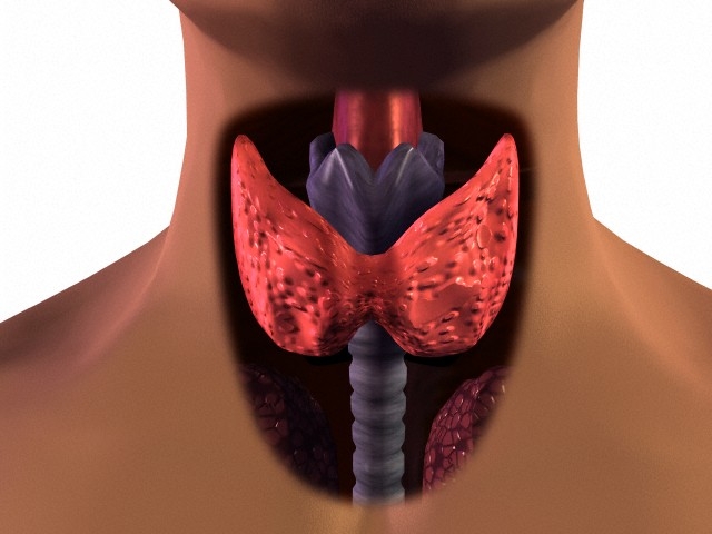 A pajzsmirigy egészségét védő étrend