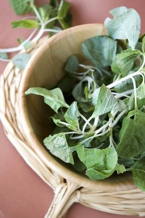 Miért van a lakosság 80%-ának magnézium hiánya és mit tehetünk ellene?