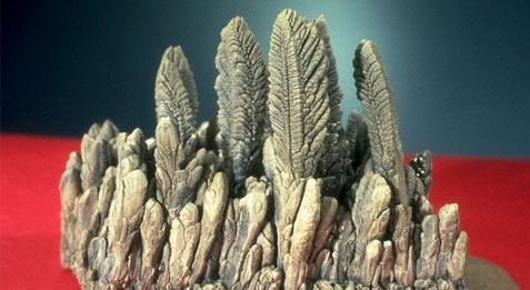 A csodálatos magnézium