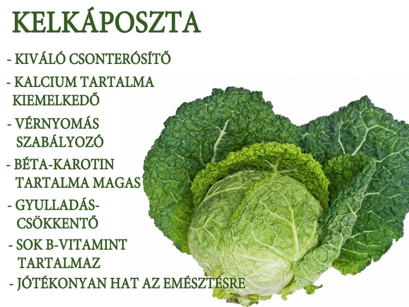 Kelkáposzta